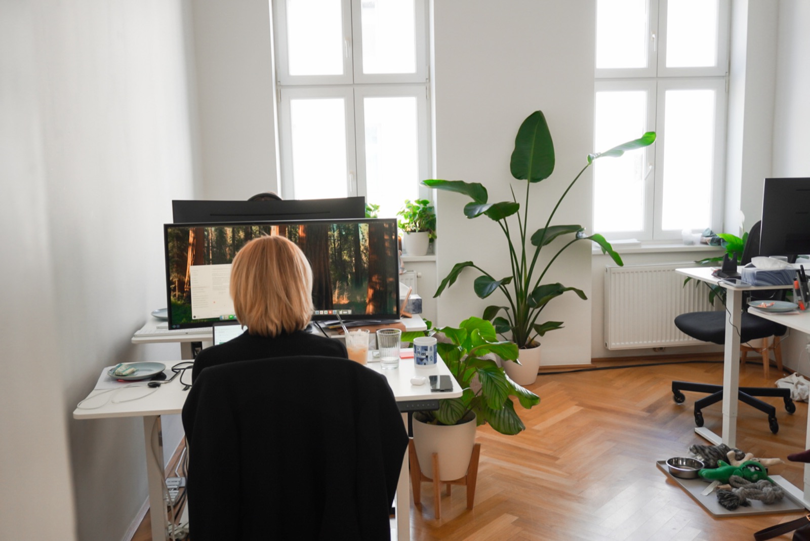 HostU Office Wien