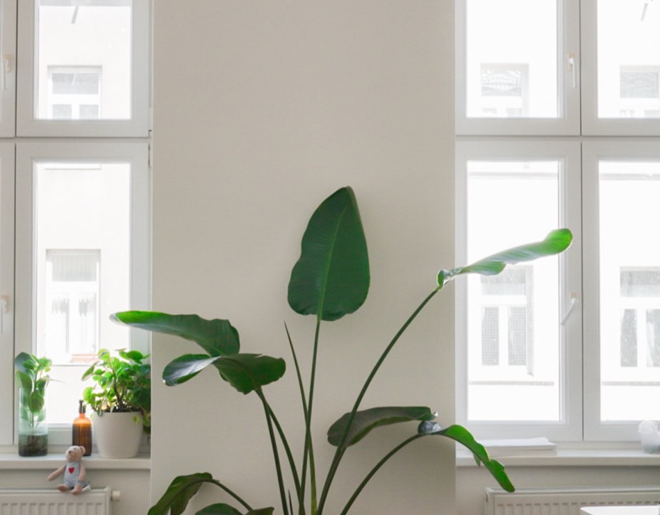 HostU Office Wien